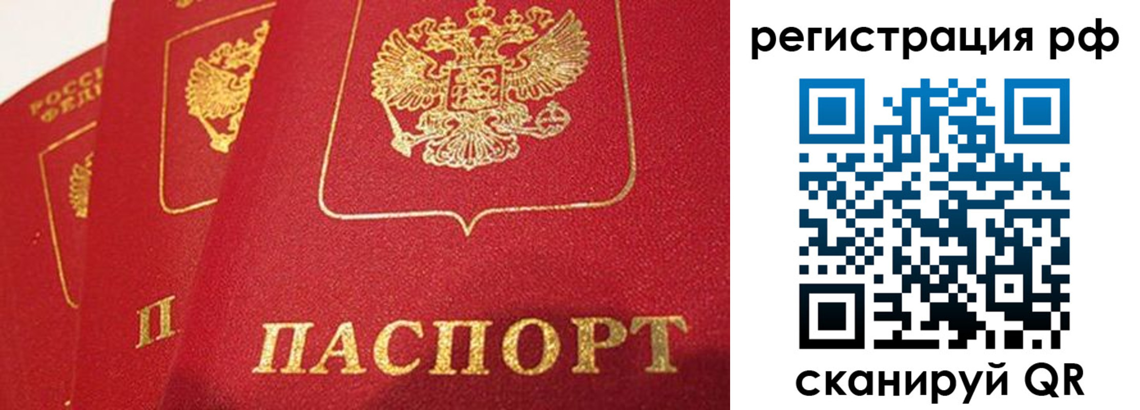 прописка поиск в Соколе